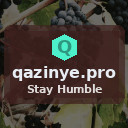 qazinye.pro